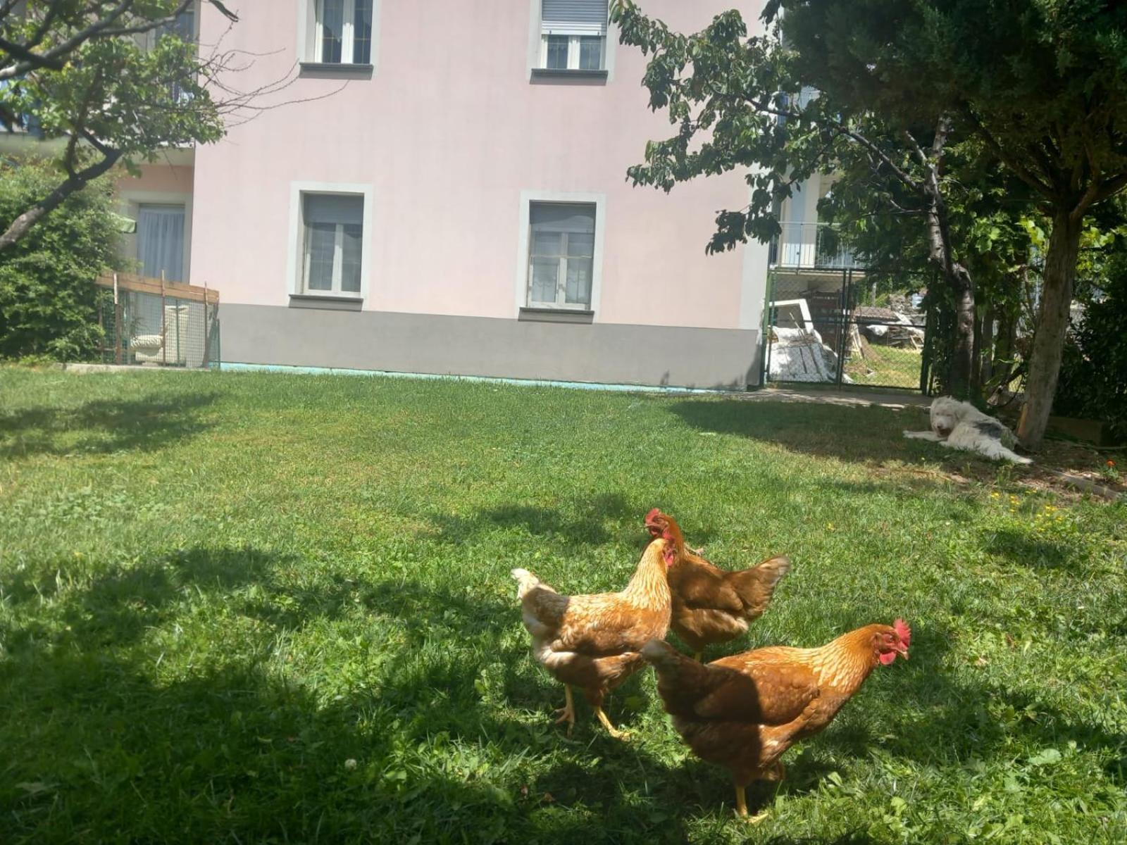 Casa Sergio Грозио Экстерьер фото